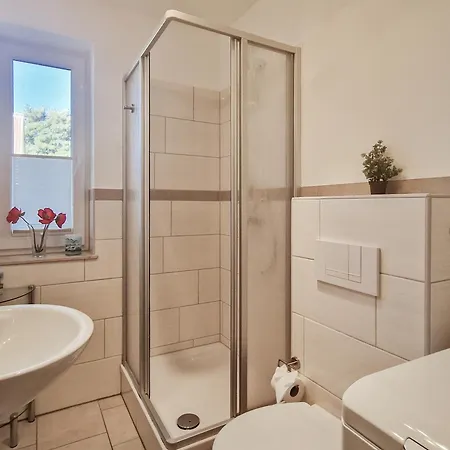 Brise Viola * Корсвандт